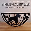 Miniature Schnauzer Hanging Basket